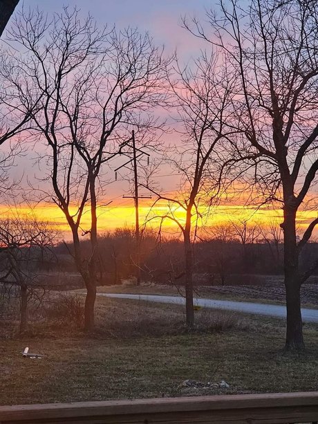 Nutty high quality actress image