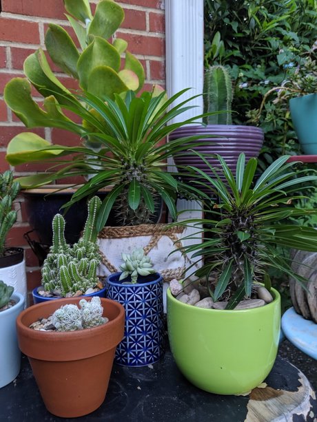 Matt woodds adult actress pics