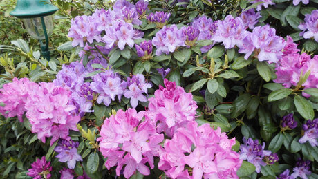 Patrick Schroeter xxx pornstar picture