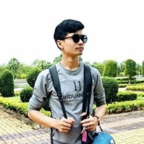 Nnp model perfect picture