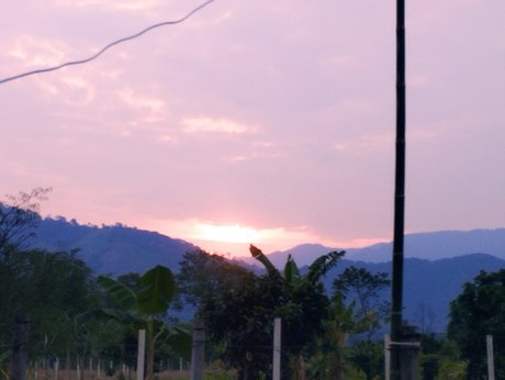 Niyin pornstar pretty photos