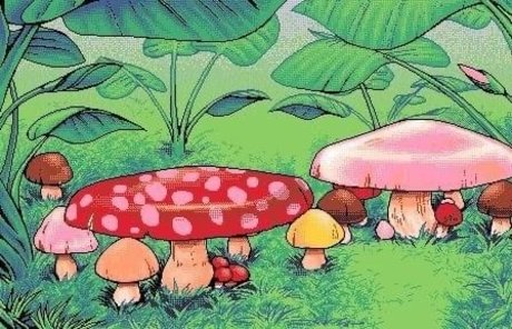 Niko Miner nudes star img