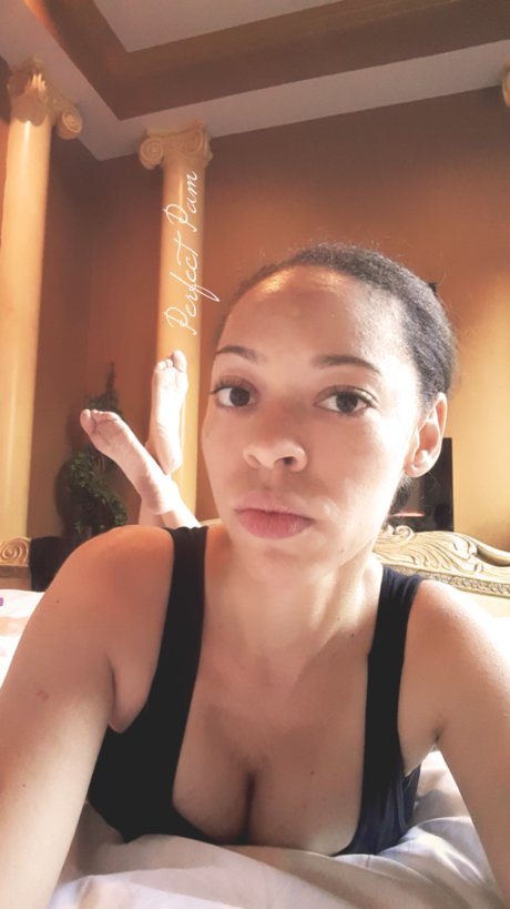 Perfect Pam Free pornstar erotic pics