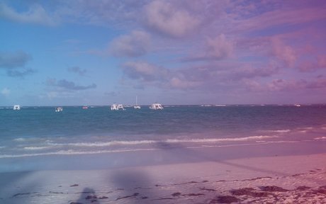 Pat Z star beautiful pictures