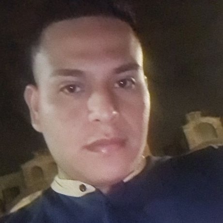 Ronald paladines sex pornstar img