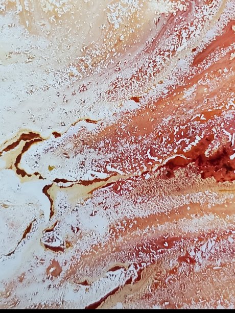 Court C pornstar top picture