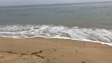 Odd exclusive star images