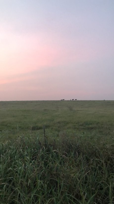 Mistress Nikki high quality pornstar archive