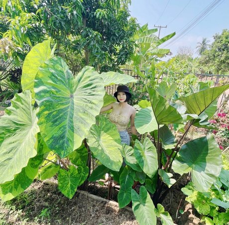 Por Punnada pornstar nice images