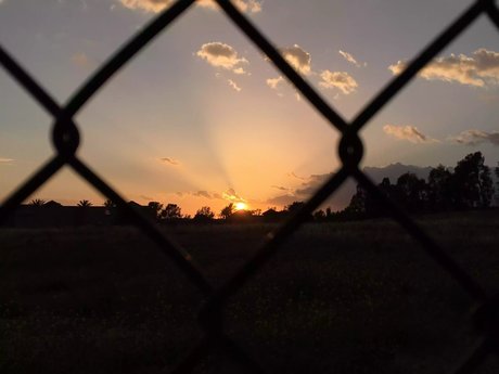 Poetic Artist top star picture