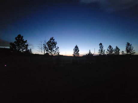 Pinks Place top pornstar photo