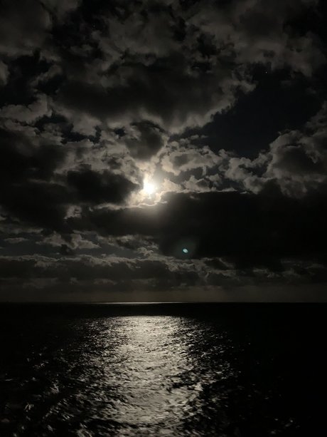 Radam84 model nudes pictures