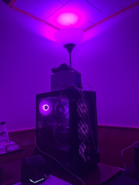 Lilian Marie naked actress galleries