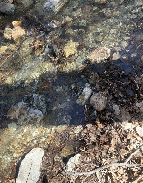 Queen of Curves model top img