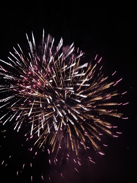 gerbil nude star photos