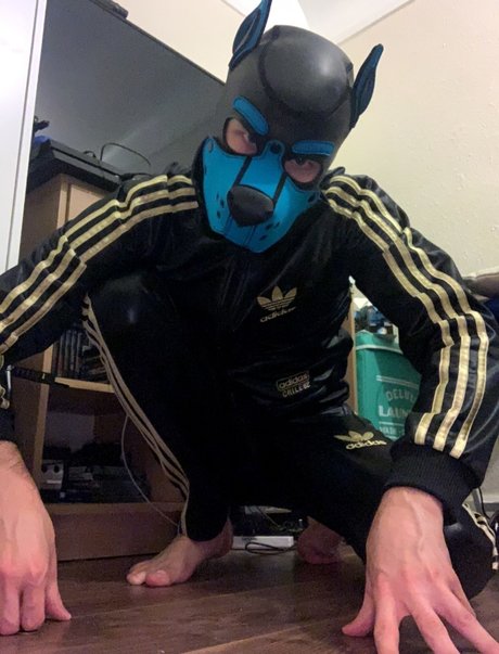 Pup Valto sexy star archive