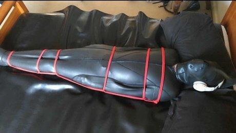 Pup Valto model high quality pictures