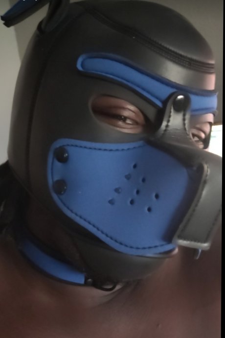 Pup Rella erotic star gallery