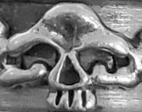 Rigger star nudes img