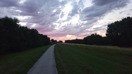 Rico1975 top actress pics