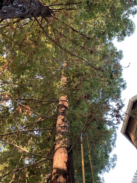 Elonbust nude pornstar photo