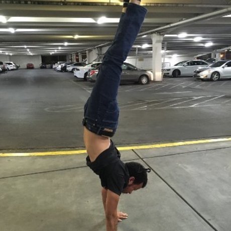 Rex Whamming XXX free pornstar archive