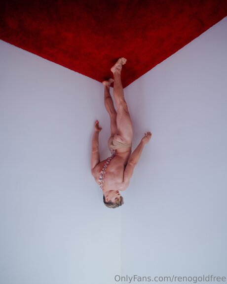 renogoldfree pornstar sexy images