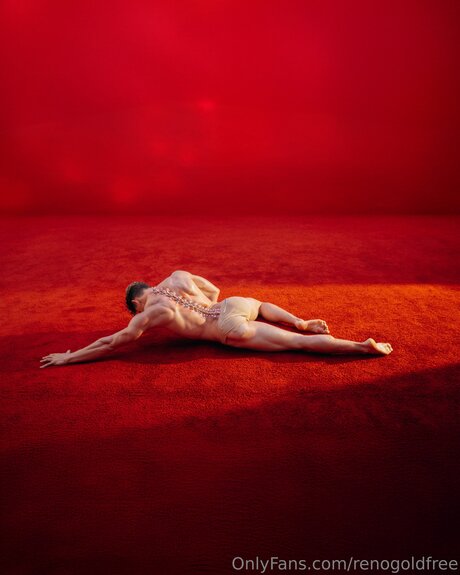 renogoldfree free pornstar pictures