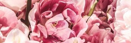 redhoneybaby pornstar hot pics