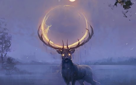 ratatoskr model adult image