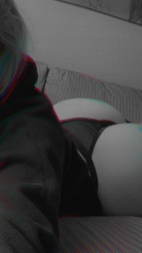 Barbi humana free pornstar photos