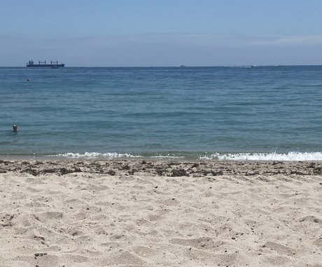 Rock Hard ATL Raw TOP perfect star archive