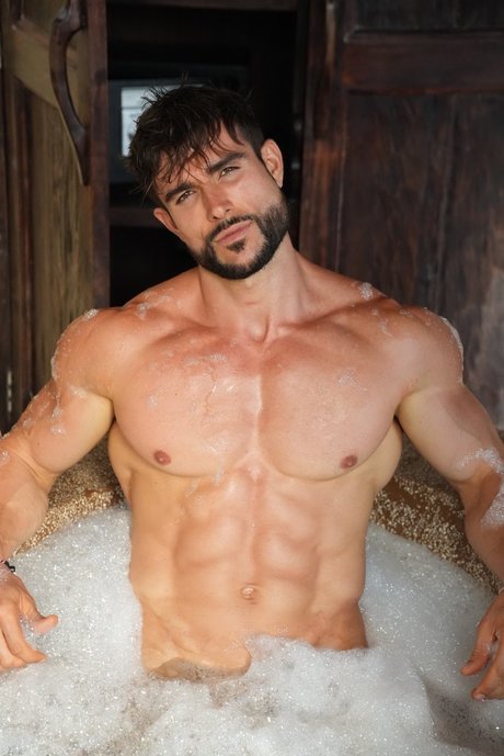 _0 2_ art pornstar archive