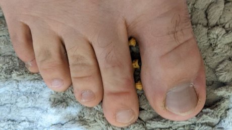 Max the Giant star pretty gallery