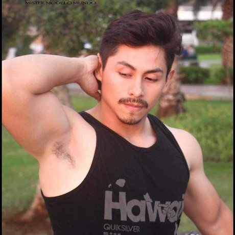 valentino balvin model adult images