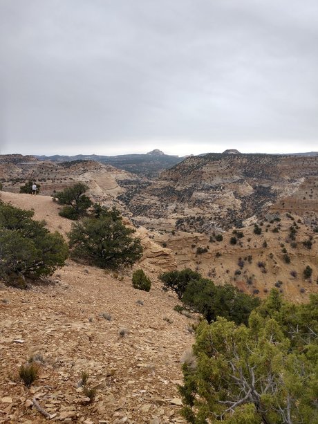 Bamfurlough nice star photo