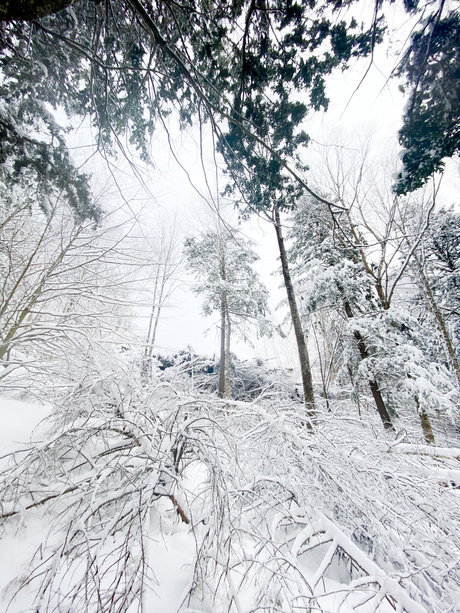 Mason Woods nudes actress archive