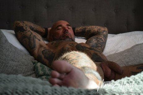 Jason Collins I Masculine Jason free pornstar img