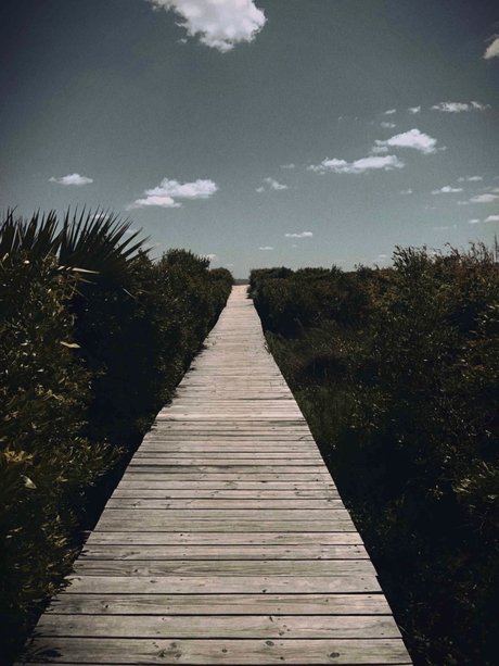 NC Med Student xxx actress gallery