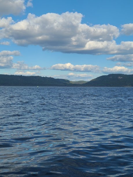 Mr D model free archive