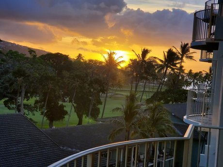 Eddie Osborn top model pics