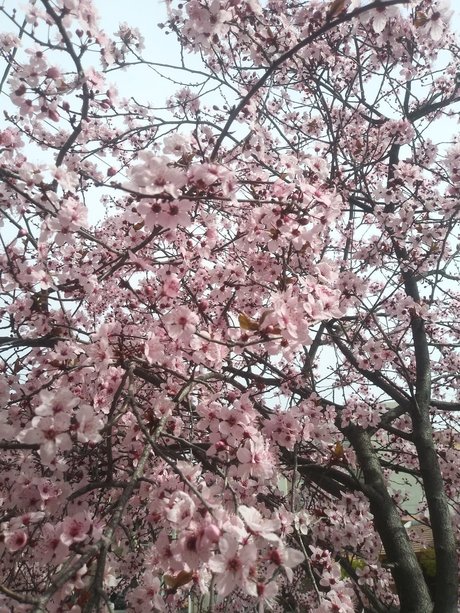 Mer Castro beautiful actress pic