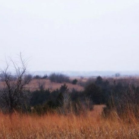 Dirty Gertie star sexy picture