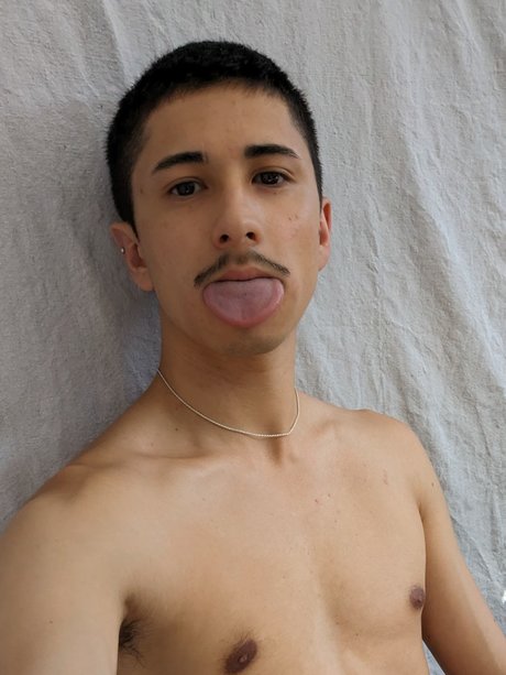 James Webb_ model high quality galleries