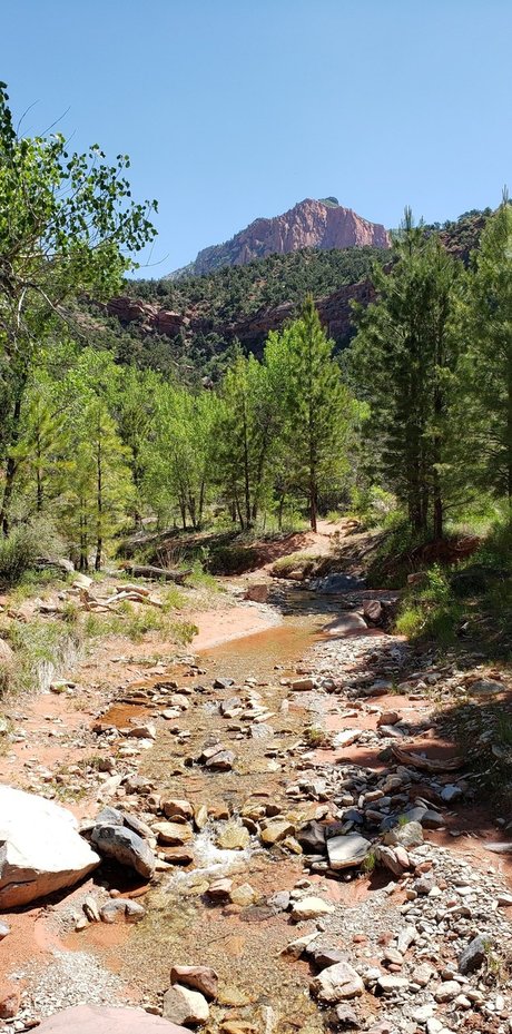 James Webb_ art star photo