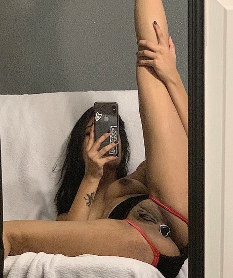 PaintJunkHunny model best archive