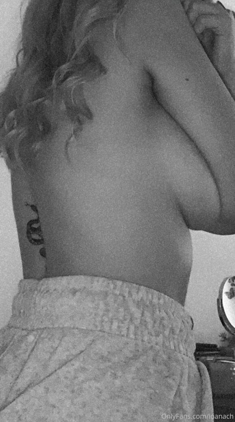 ioanach model perfect galleries