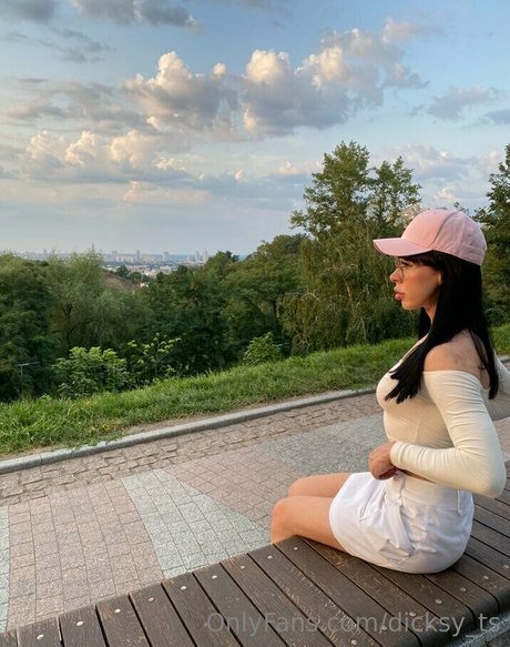 dicksy ts star art galleries