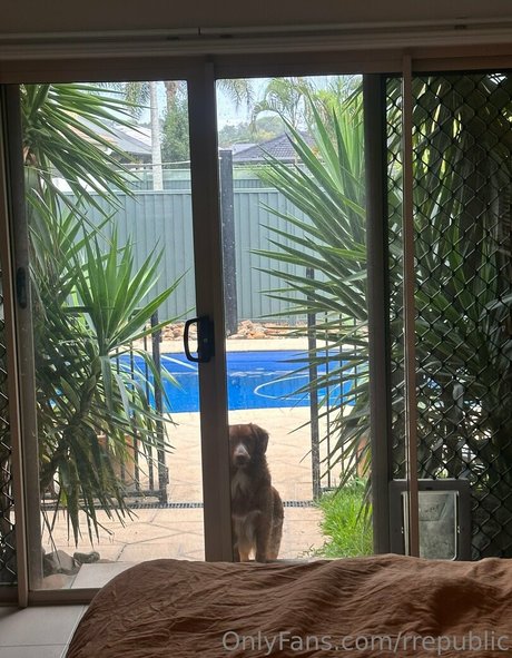 rrepublic pretty star img