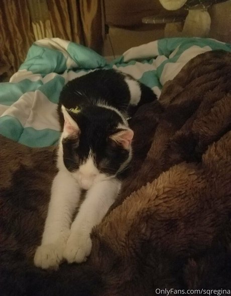 sqregina naked star pics